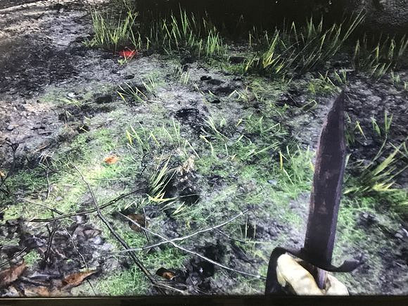 《荒野大鏢客2》內戰刀在哪？內戰哈迪帽位置一覽