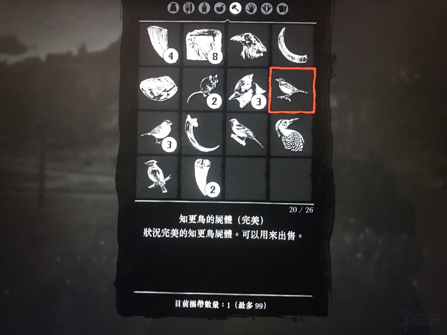 《荒野大鏢客2》鳥類捕獵地點推薦 野生動物藝術展覽任務怎麽做