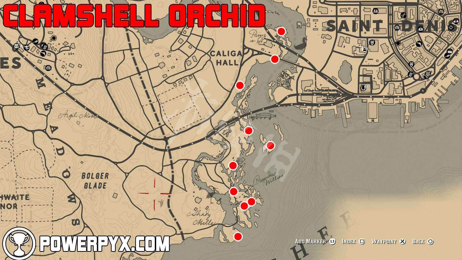 《荒野大鏢客2》全稀有花朵位置地圖示注 稀有花朵在哪裡？