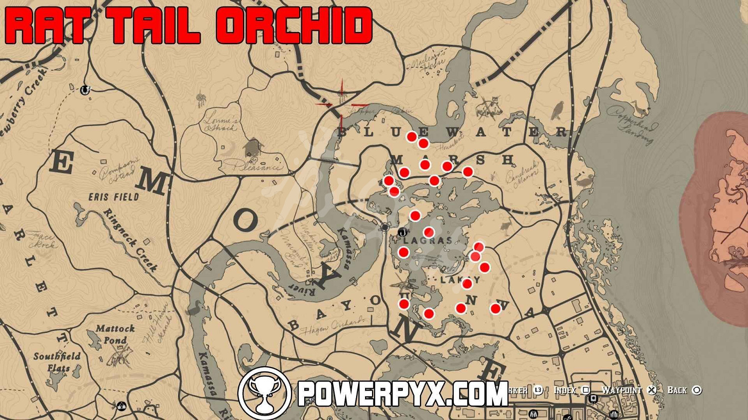 《荒野大鏢客2》全稀有花朵位置地圖示注 稀有花朵在哪裡？