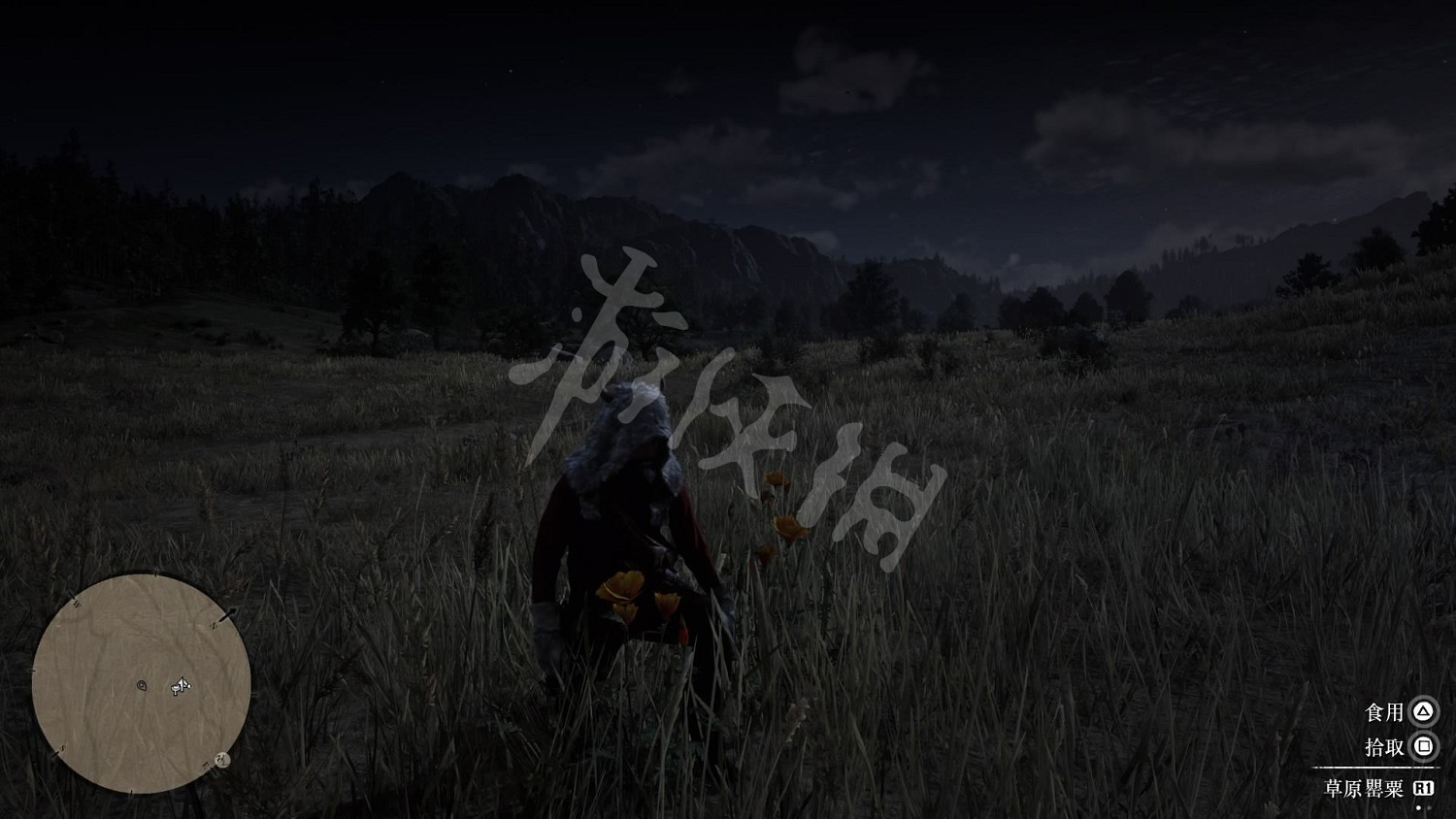 《荒野大鏢客2》全藥草位置圖文分享 藥草在哪裡? 《荒野大鏢客2》全藥草位置圖文分享 藥草在哪裡?