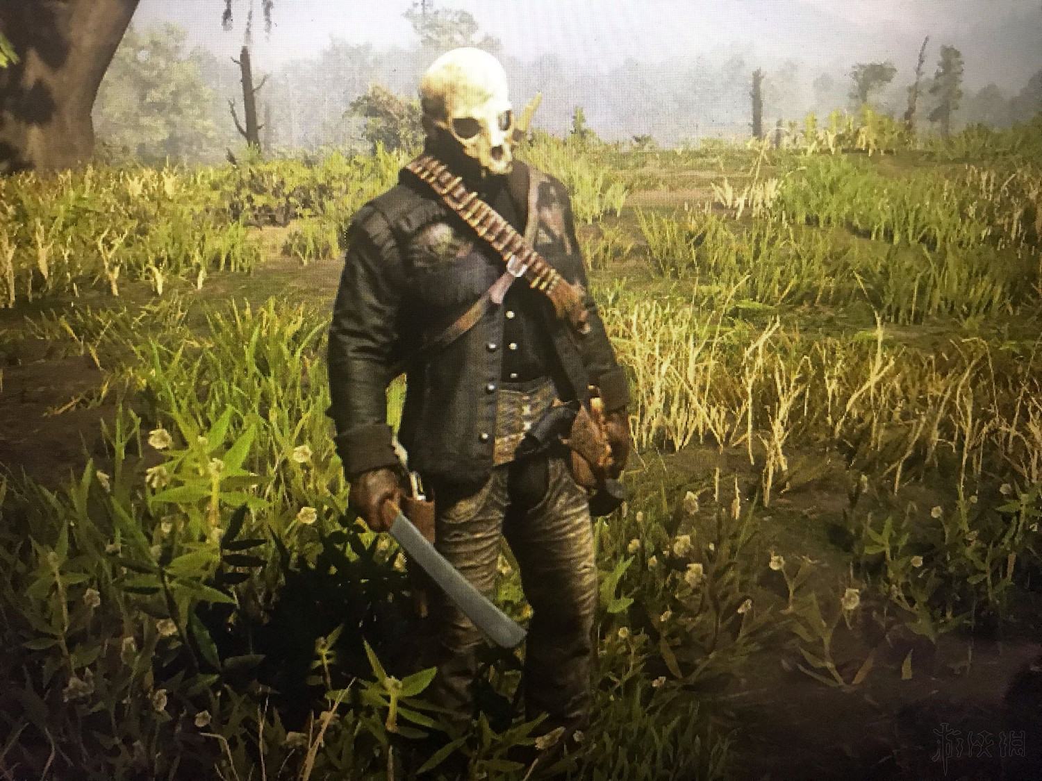 《荒野大鏢客2》鳥類捕獵地點推薦 野生動物藝術展覽任務怎麽做