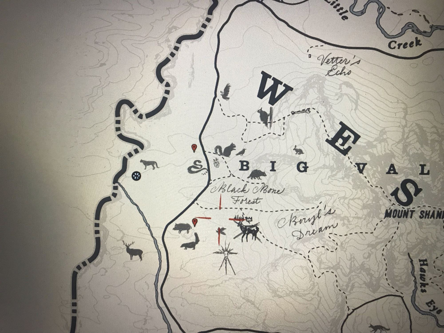 《荒野大鏢客2》鳥類捕獵地點推薦 野生動物藝術展覽任務怎麽做