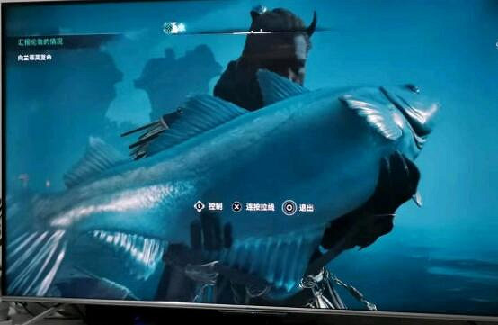 《刺客教條英靈殿》鱈魚在哪釣？綠青鱈魚釣魚點分享