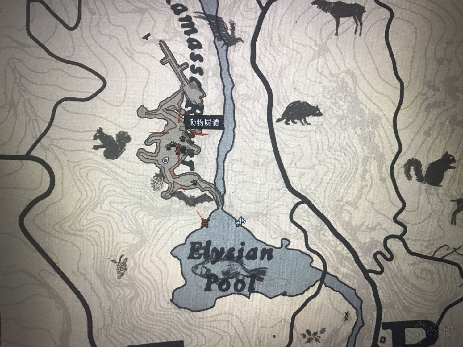 《荒野大鏢客2》鳥類捕獵地點推薦 野生動物藝術展覽任務怎麽做