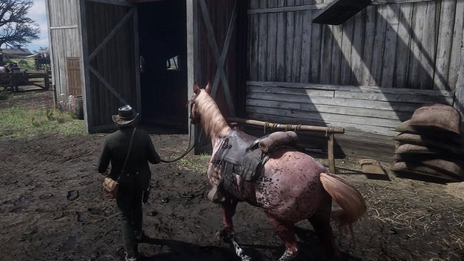 《荒野大鏢客2》新手技巧分享 新手前期注意事項 《荒野大鏢客2》新手技巧分享 新手前期注意事項