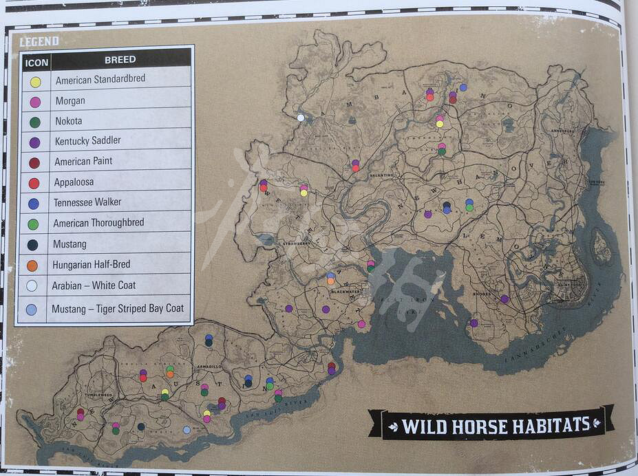 《荒野大鏢客2》虎紋野馬怎麽獲得 虎紋野馬位置及屬性介紹