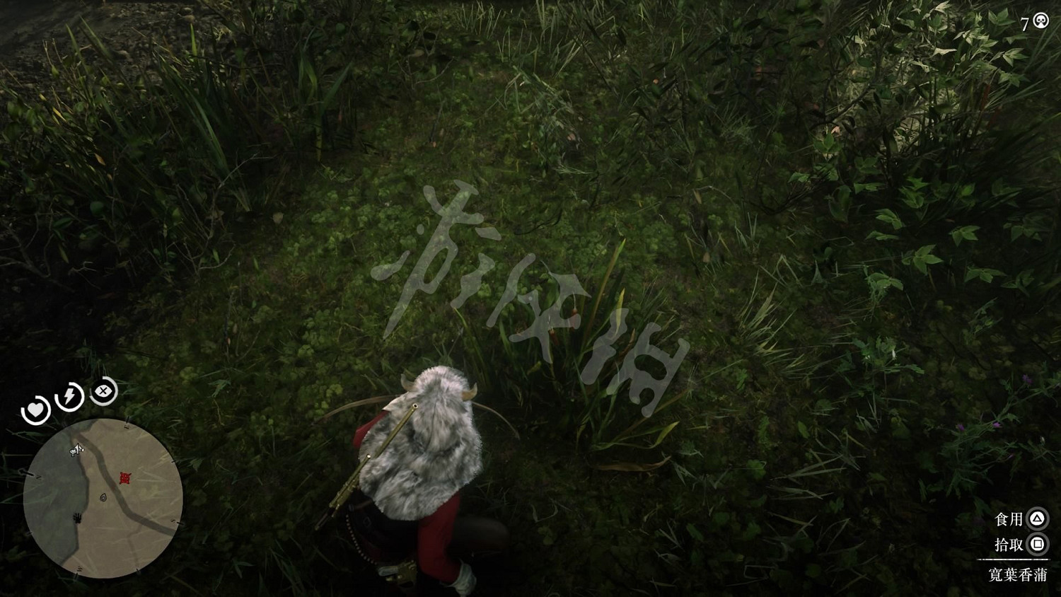 《荒野大鏢客2》全藥草位置圖文分享 藥草在哪裡？