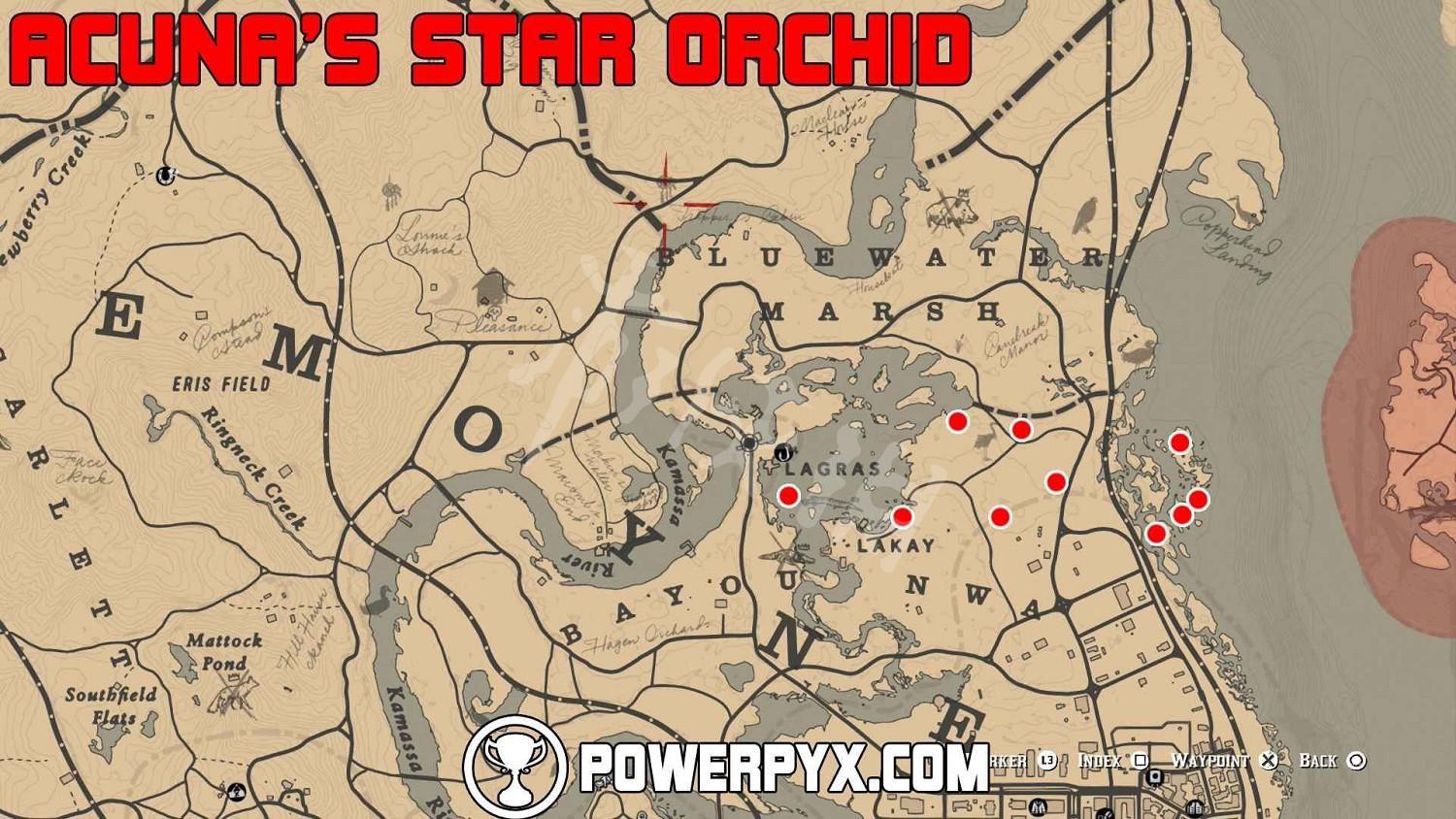 《荒野大鏢客2》全稀有花朵位置地圖示注 稀有花朵在哪裡？