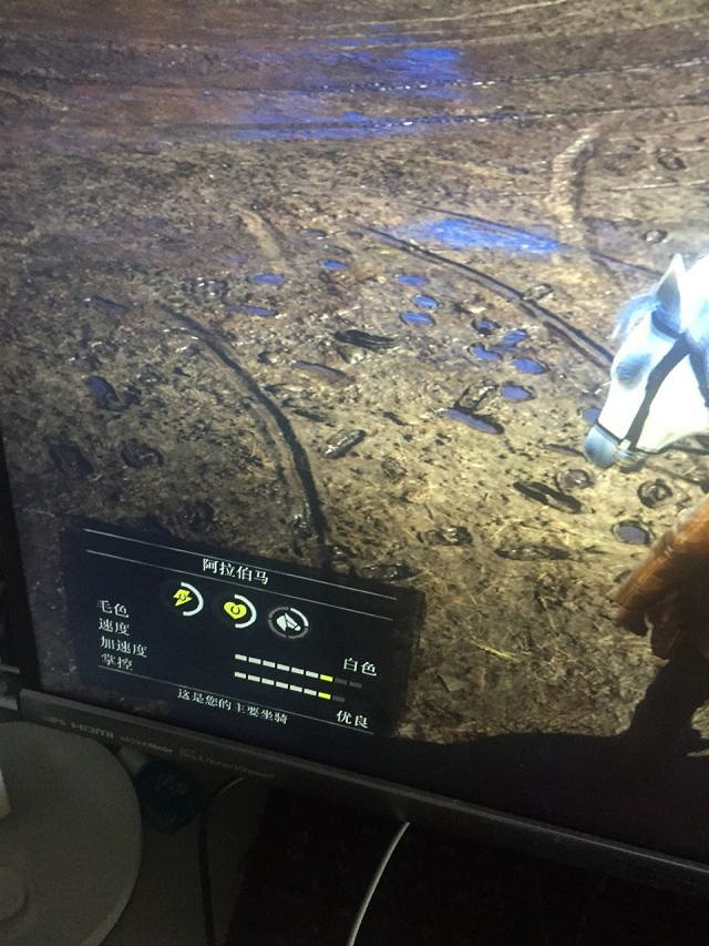 《荒野大鏢客2》稀有阿拉伯馬獲取攻略 稀有阿拉伯馬位置一覽 《荒野大鏢客2》稀有阿拉伯馬獲取攻略 稀有阿拉伯馬位置一覽