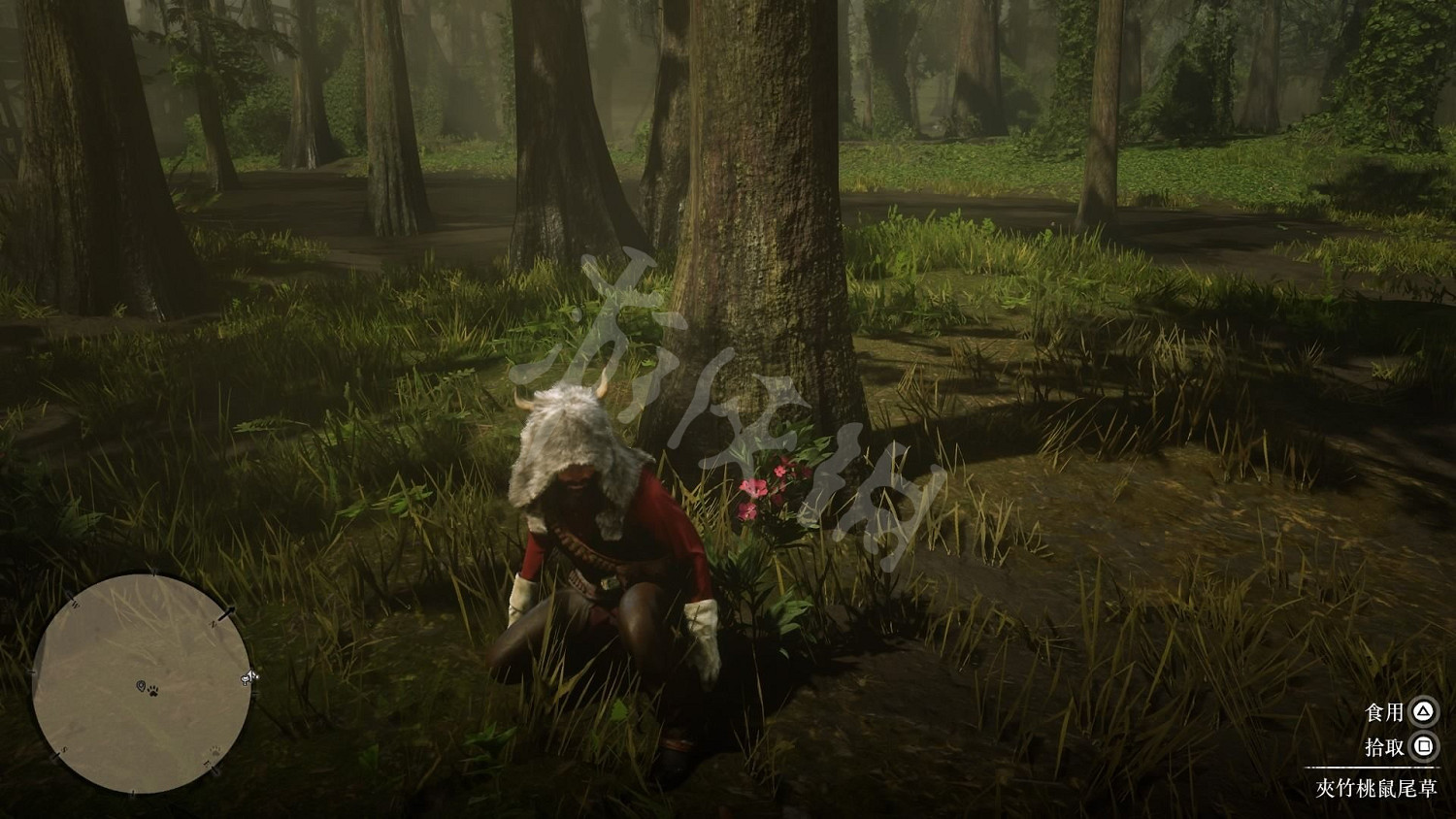 《荒野大鏢客2》全藥草位置圖文分享 藥草在哪裡? 《荒野大鏢客2》全藥草位置圖文分享 藥草在哪裡?