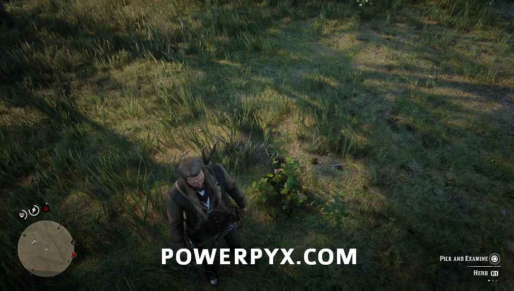 《荒野大鏢客2》營地夥伴需求完成方法介紹 營地夥伴需求有哪些? 《荒野大鏢客2》營地夥伴需求完成方法介紹 營地夥伴需求有哪些?