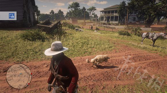 《荒野大鏢客2》沙漠蟾蜍和貴賓犬在哪？沙漠蟾蜍+貴賓犬位置一覽