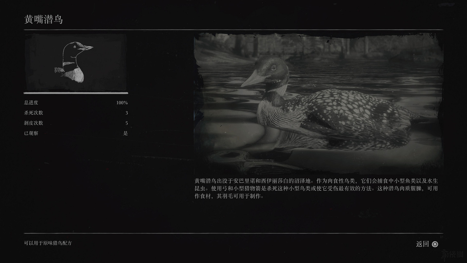 《荒野大鏢客2》全動物圖鑒訊息匯總 全動物獎杯要點分享