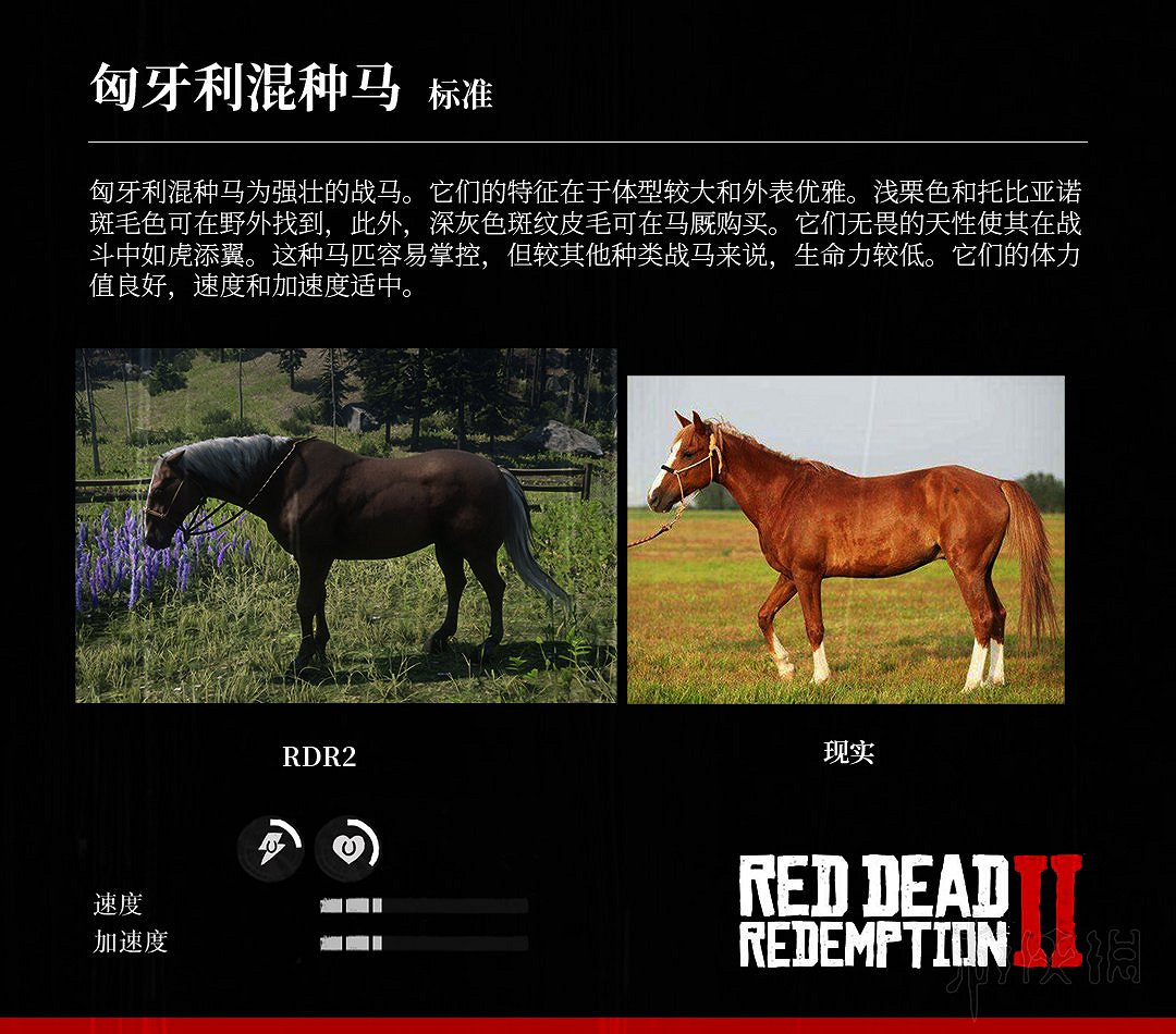 《荒野大鏢客2》全馬匹特性與原型對比分享 馬匹種類介紹 《荒野大鏢客2》全馬匹特性與原型對比分享 馬匹種類介紹