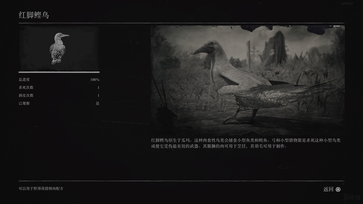 《荒野大鏢客2》全動物圖鑒訊息匯總 全動物獎杯要點分享