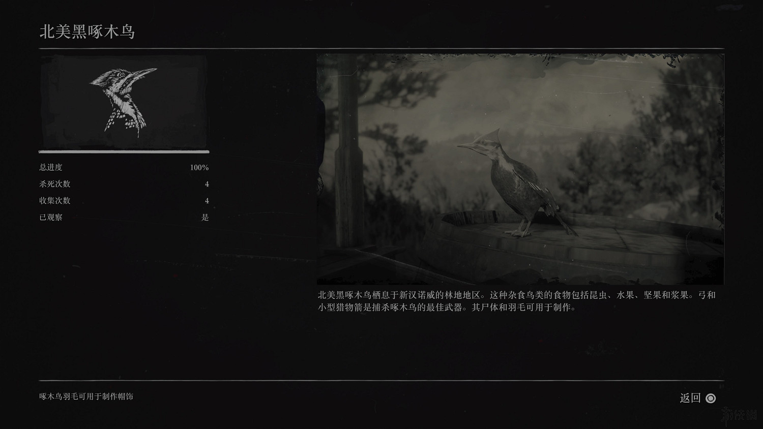 《荒野大鏢客2》全動物圖鑒訊息匯總 全動物獎杯要點分享 《荒野大鏢客2》全動物圖鑒訊息匯總 全動物獎杯要點分享