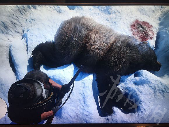 《荒野大鏢客2》雪山隨機事件怎麽獲得完美熊皮？完美熊皮獲取攻略