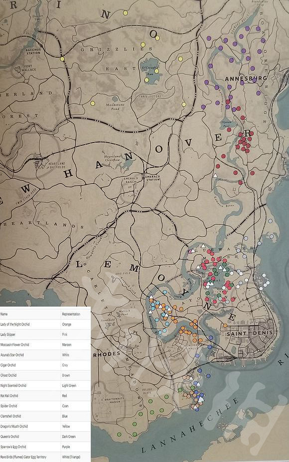 《荒野大鏢客2》珍品任務怎麽做?珍品任務詳解 《荒野大鏢客2》珍品任務怎麽做?珍品任務詳解