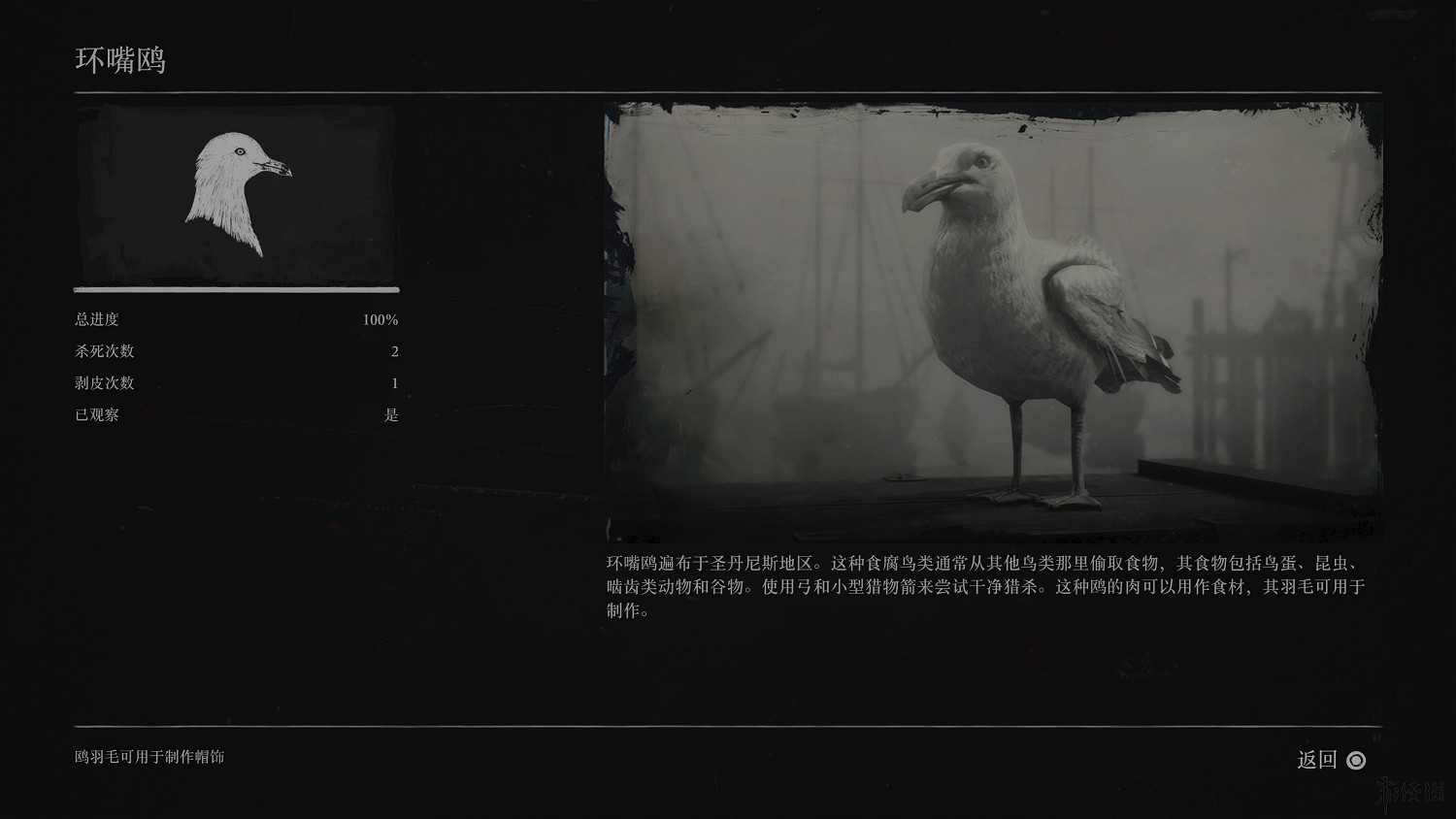 《荒野大鏢客2》全動物圖鑒訊息匯總 全動物獎杯要點分享