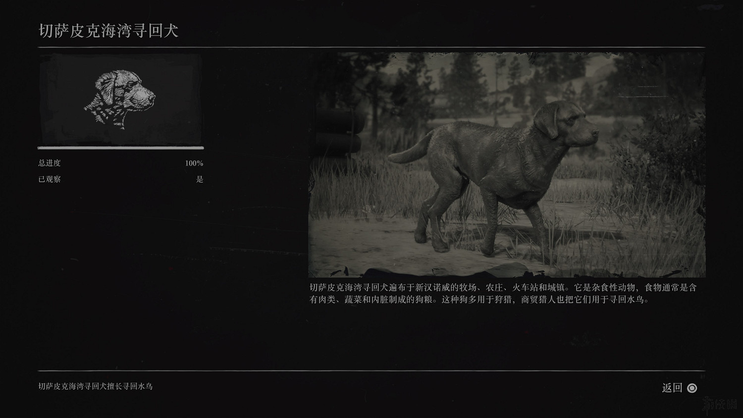 《荒野大鏢客2》全動物圖鑒訊息匯總 全動物獎杯要點分享