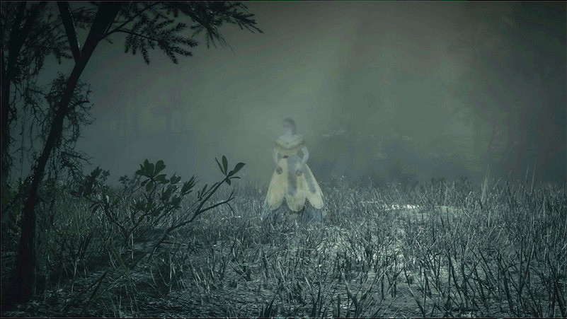 《荒野大鏢客2》全特殊角色位置一覽 特殊角色位置都在哪？