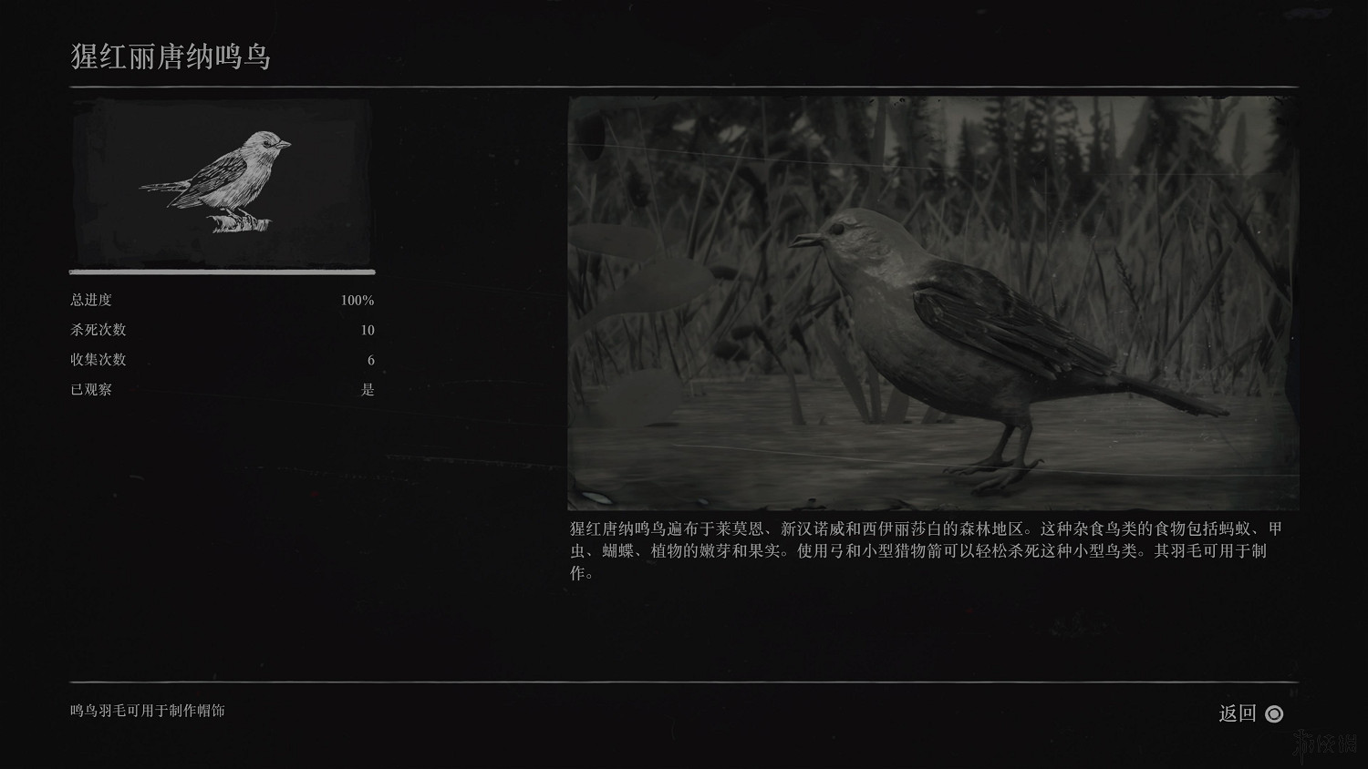 《荒野大鏢客2》全動物圖鑒訊息匯總 全動物獎杯要點分享