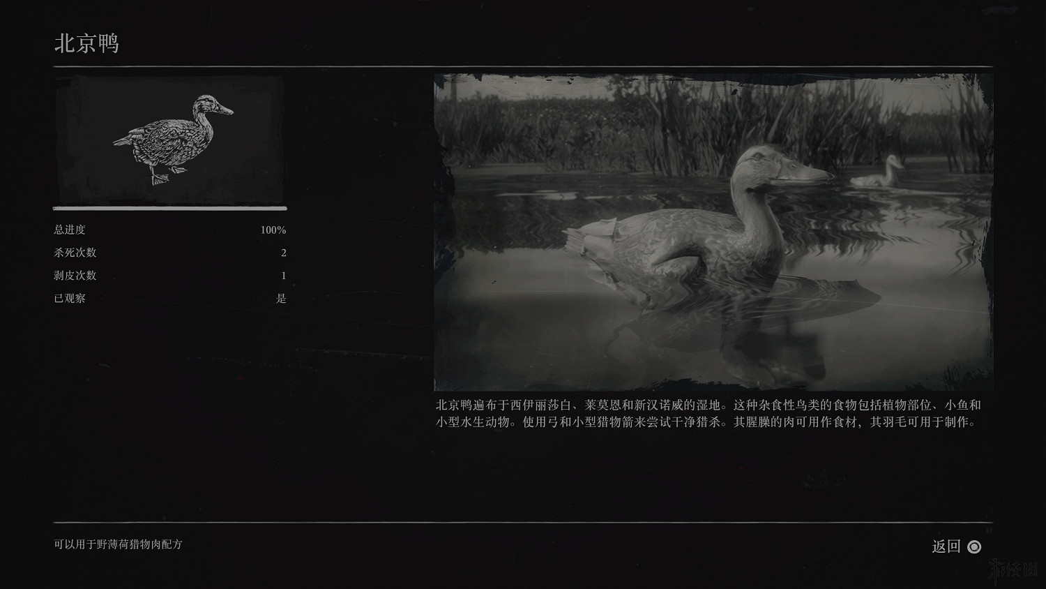 《荒野大鏢客2》全動物圖鑒訊息匯總 全動物獎杯要點分享