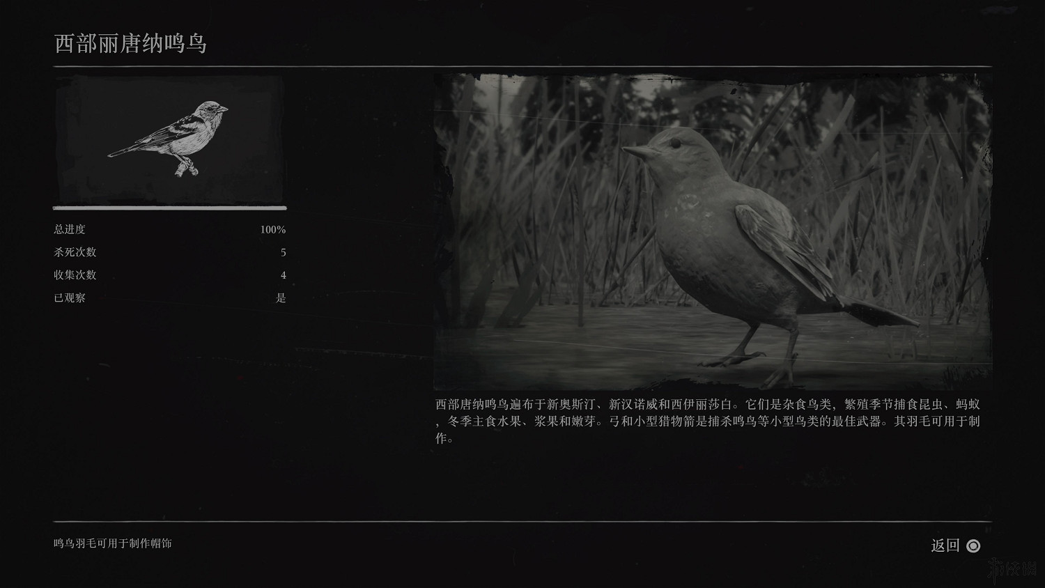 《荒野大鏢客2》全動物圖鑒訊息匯總 全動物獎杯要點分享