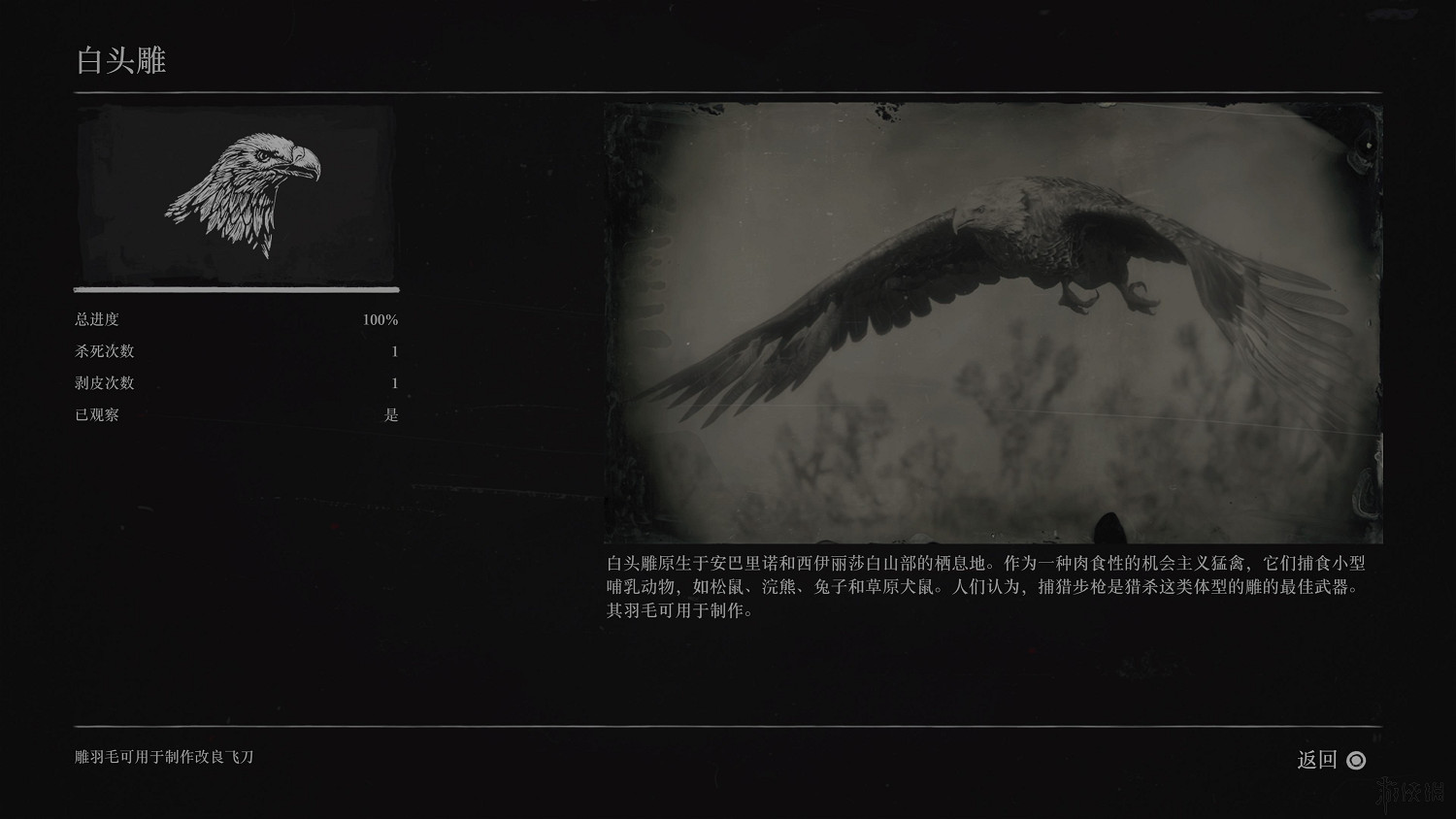 《荒野大鏢客2》全動物圖鑒訊息匯總 全動物獎杯要點分享