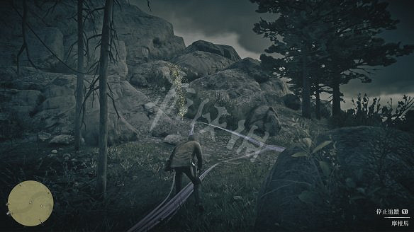 《荒野大鏢客2》圖文攻略：主線流程+支線任務+槍械系統+服裝系統+戰鬥系統+狩獵系統+馬匹系統+地圖資源+榮譽系統+介面介紹+上手操作