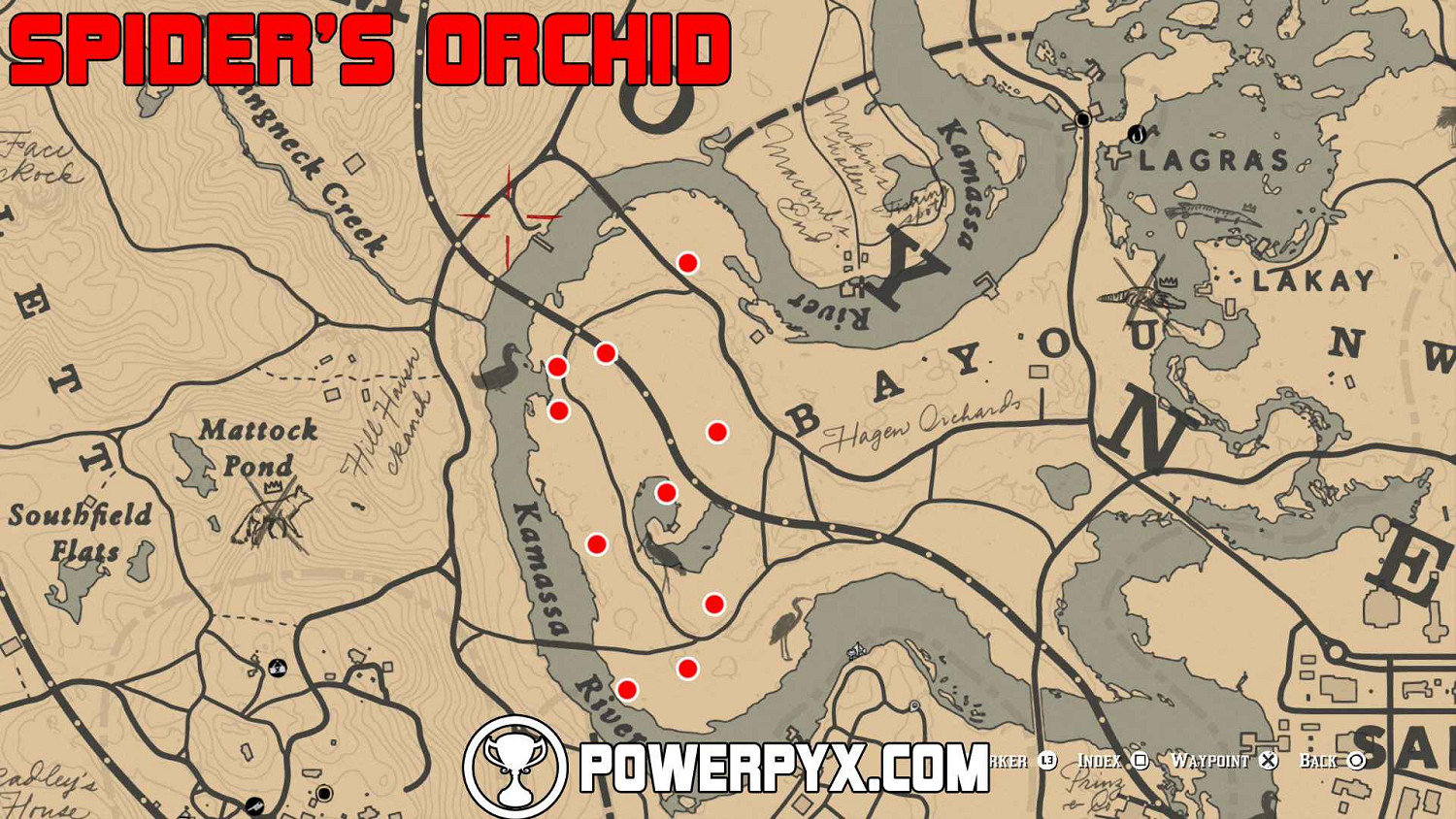 《荒野大鏢客2》異寶植物一覽 異寶植物有哪些？