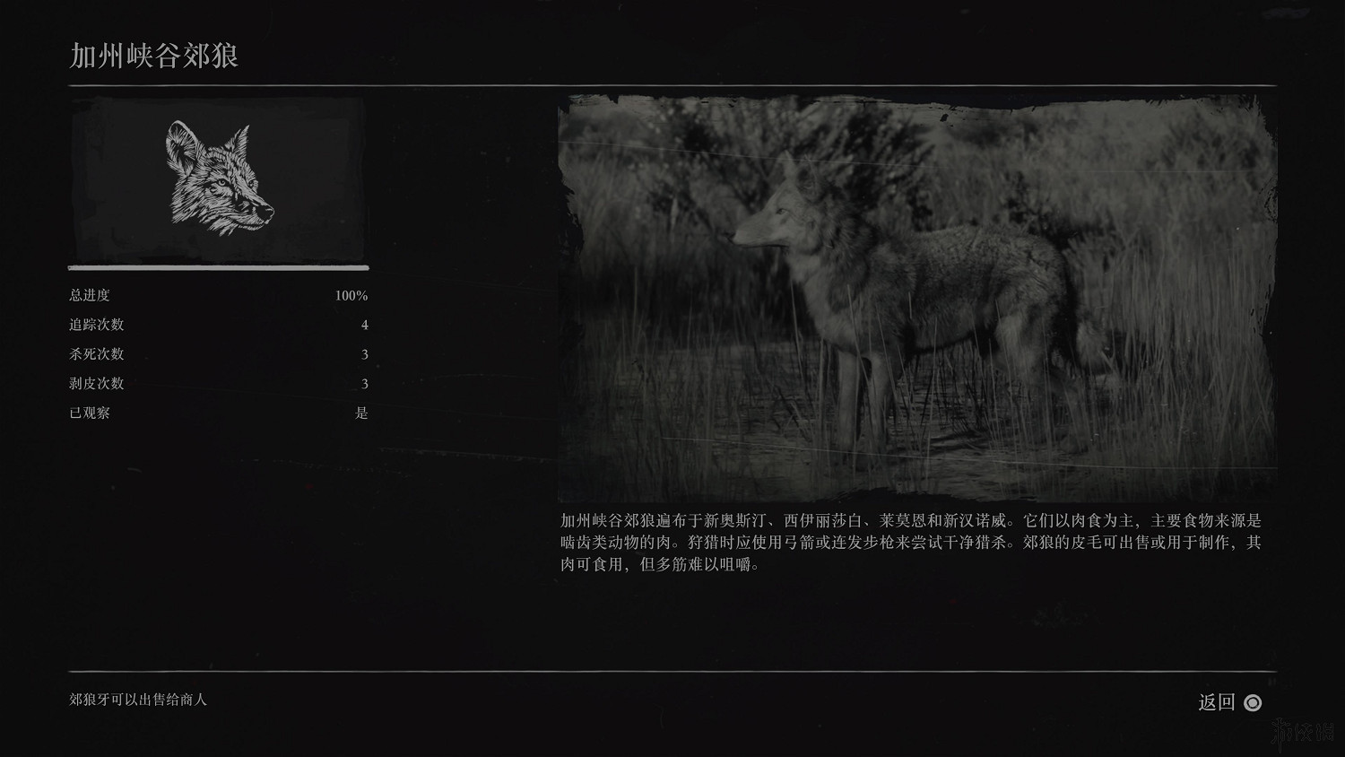 《荒野大鏢客2》全動物圖鑒訊息匯總 全動物獎杯要點分享