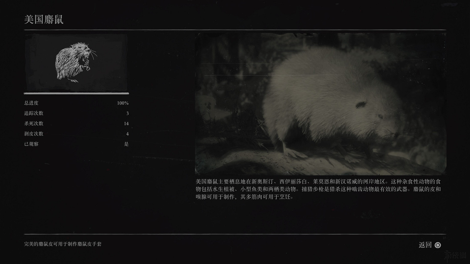 《荒野大鏢客2》全動物圖鑒訊息匯總 全動物獎杯要點分享