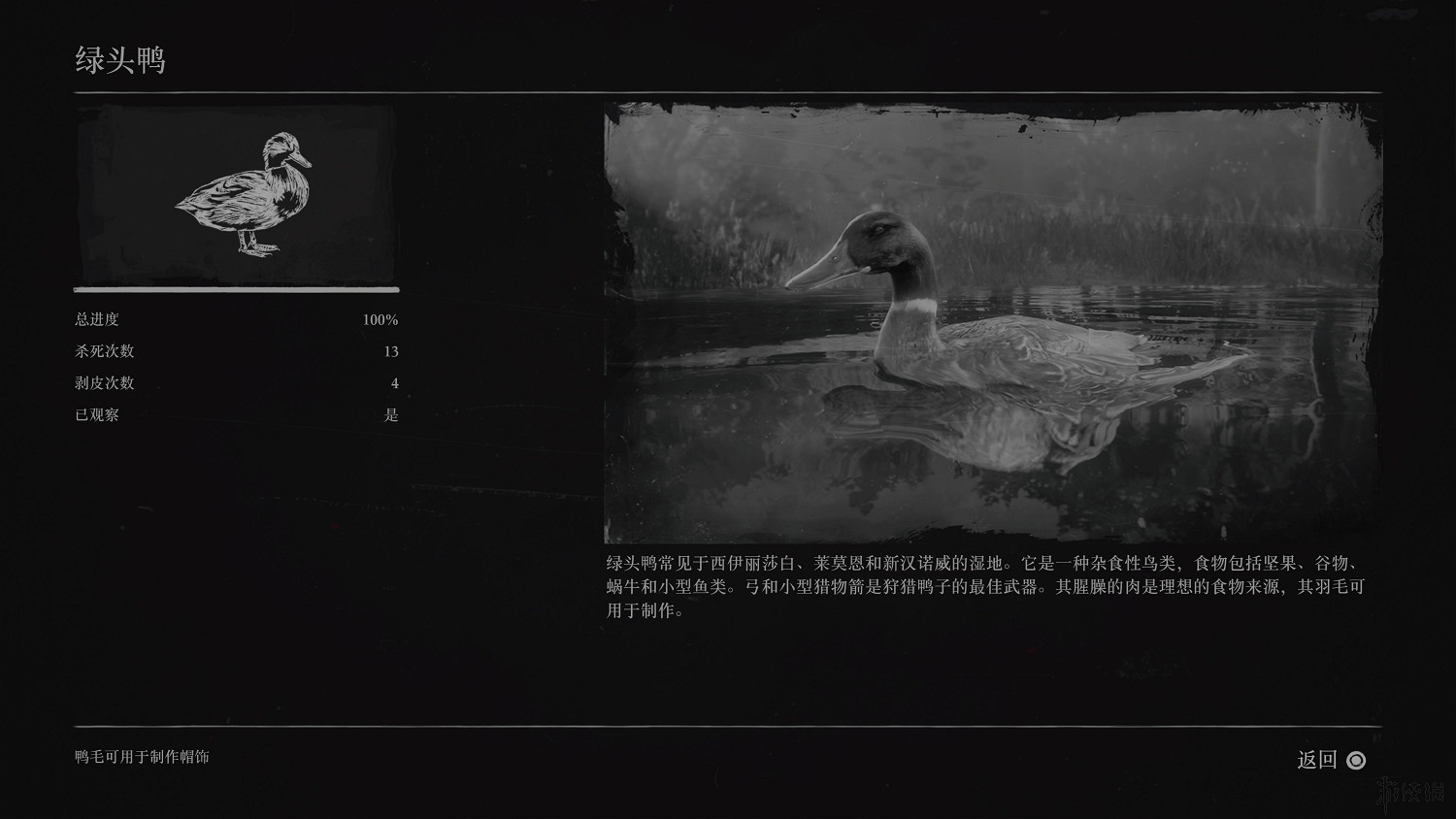 《荒野大鏢客2》全動物圖鑒訊息匯總 全動物獎杯要點分享