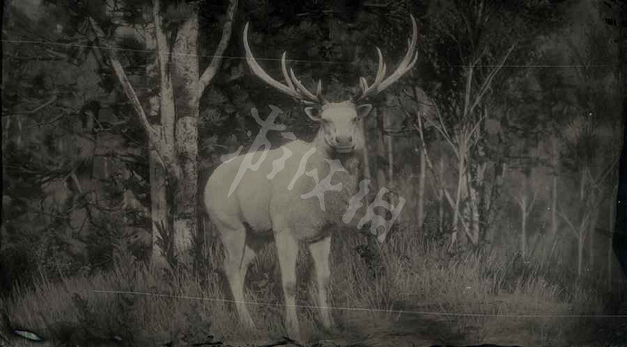 《荒野大鏢客2》傳奇動物圖鑒大全 傳奇動物位置在哪裡？