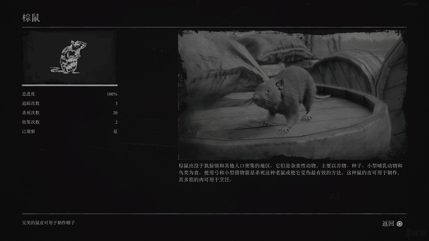 《荒野大鏢客2》全動物圖鑒訊息匯總 全動物獎杯要點分享