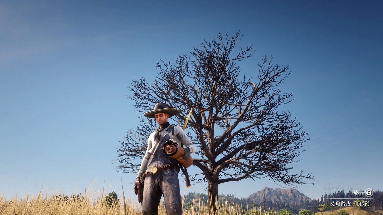 《荒野大鏢客2》線上藏寶圖怎麽用 線上藏寶圖獲得及尋寶方法介紹 《荒野大鏢客2》線上藏寶圖怎麽用 線上藏寶圖獲得及尋寶方法介紹