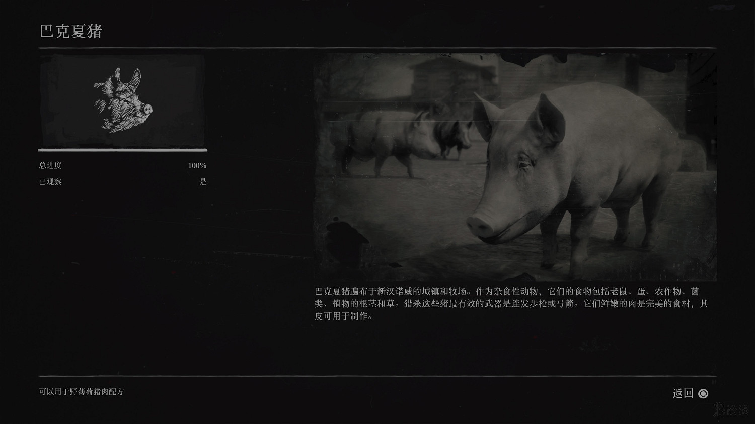 《荒野大鏢客2》全動物圖鑒訊息匯總 全動物獎杯要點分享 《荒野大鏢客2》全動物圖鑒訊息匯總 全動物獎杯要點分享