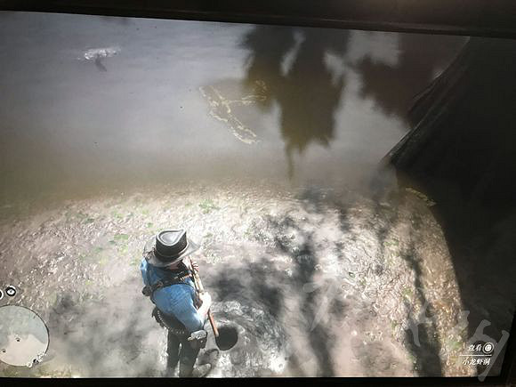 《荒野大鏢客2》小龍蝦的位置在哪裡？小龍蝦位置一覽