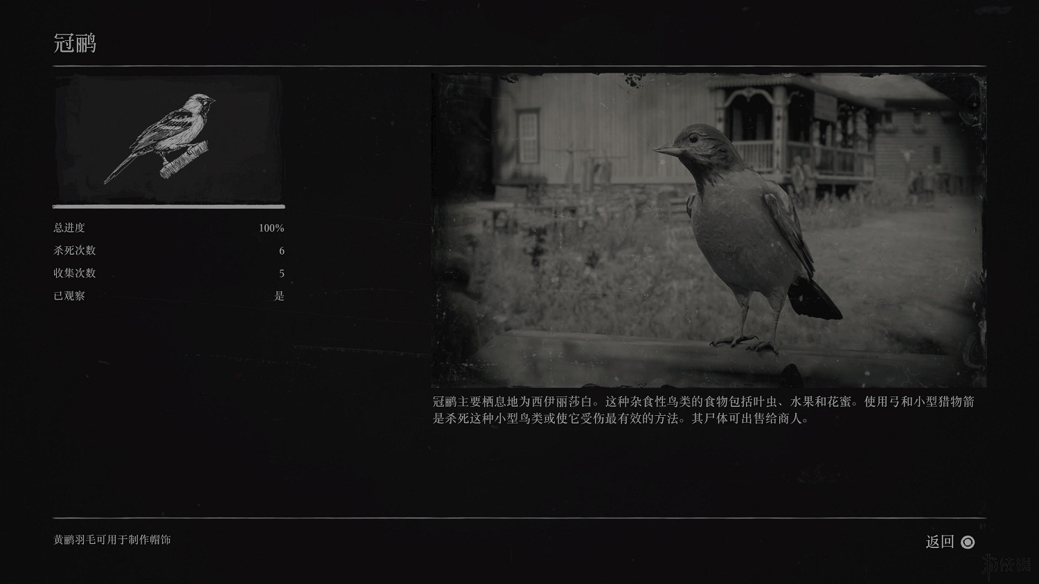 《荒野大鏢客2》全動物圖鑒訊息匯總 全動物獎杯要點分享 《荒野大鏢客2》全動物圖鑒訊息匯總 全動物獎杯要點分享