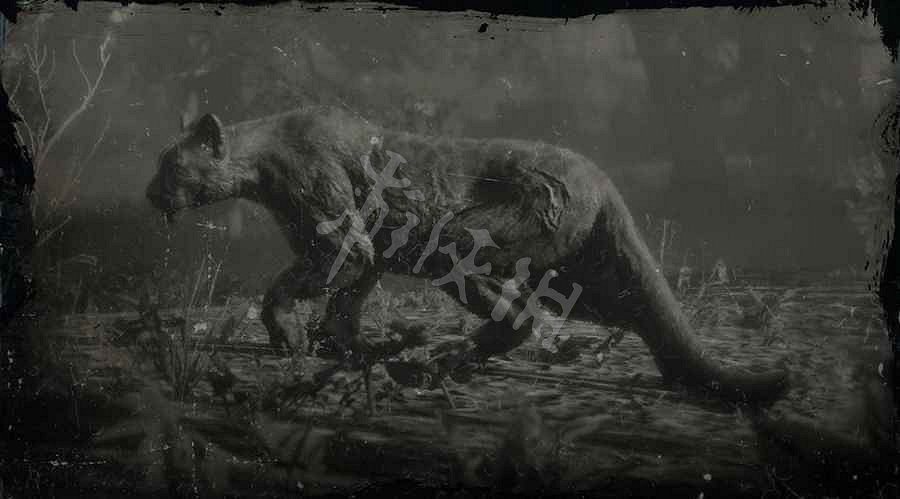 《荒野大鏢客2》傳奇動物圖鑒大全 傳奇動物位置在哪裡? 《荒野大鏢客2》傳奇動物圖鑒大全 傳奇動物位置在哪裡?