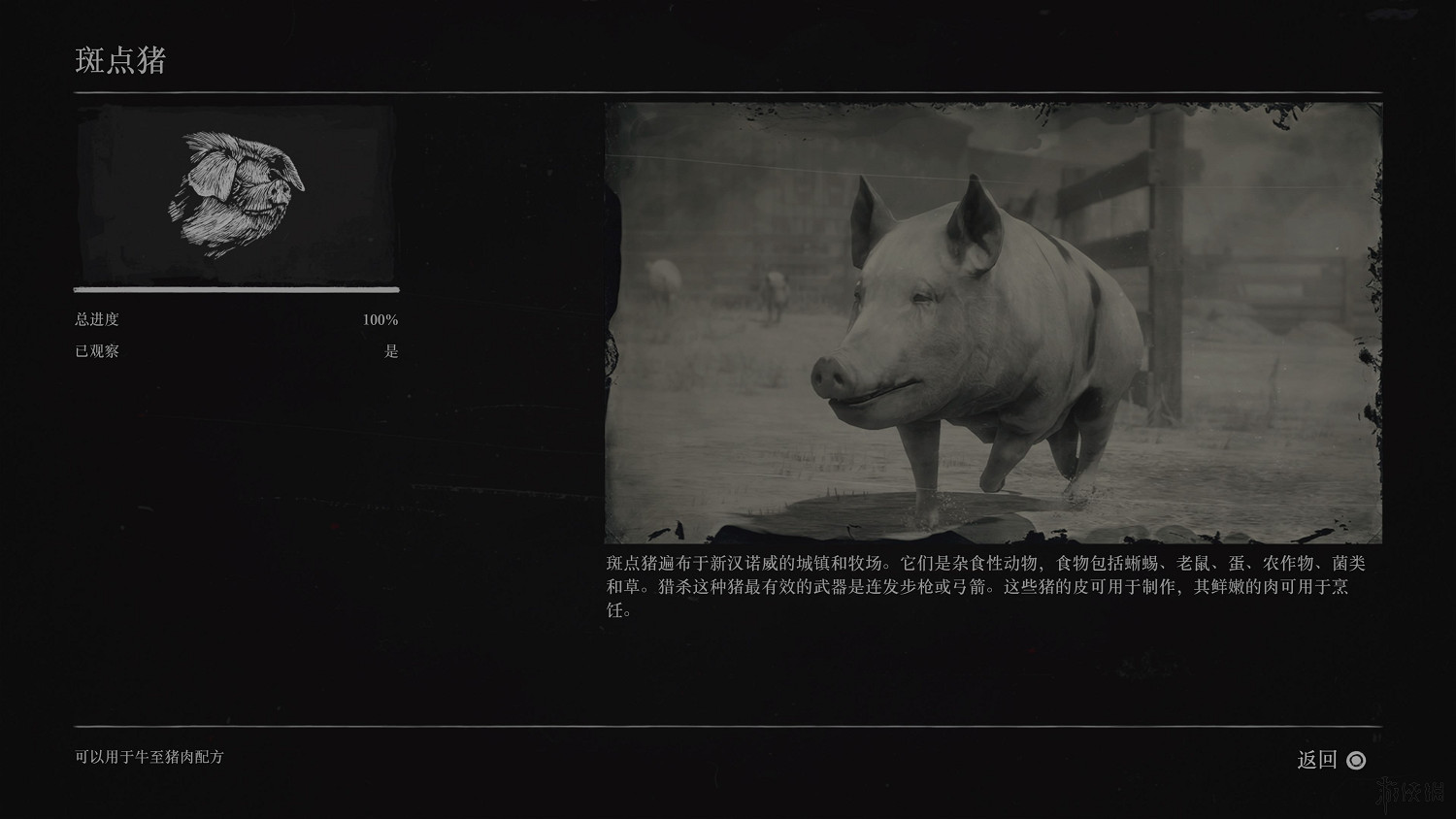 《荒野大鏢客2》全動物圖鑒訊息匯總 全動物獎杯要點分享 《荒野大鏢客2》全動物圖鑒訊息匯總 全動物獎杯要點分享