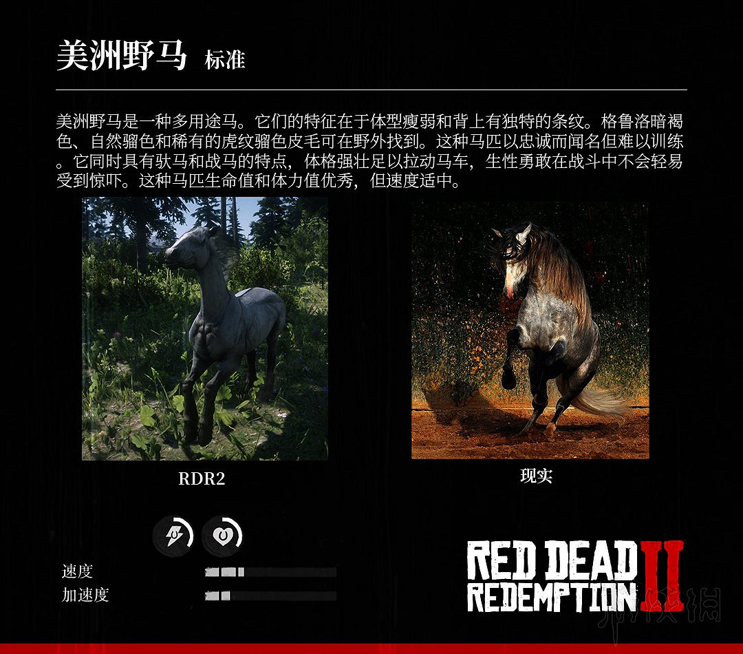 《荒野大鏢客2》全馬匹特性與原型對比分享 馬匹種類介紹 《荒野大鏢客2》全馬匹特性與原型對比分享 馬匹種類介紹