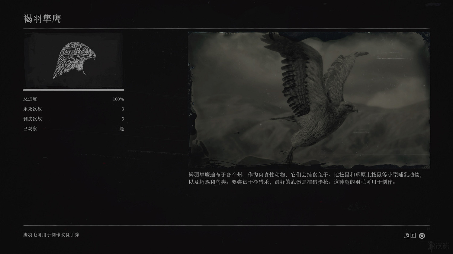 《荒野大鏢客2》全動物圖鑒訊息匯總 全動物獎杯要點分享