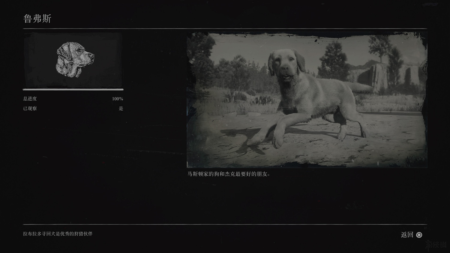 《荒野大鏢客2》全動物圖鑒訊息匯總 全動物獎杯要點分享