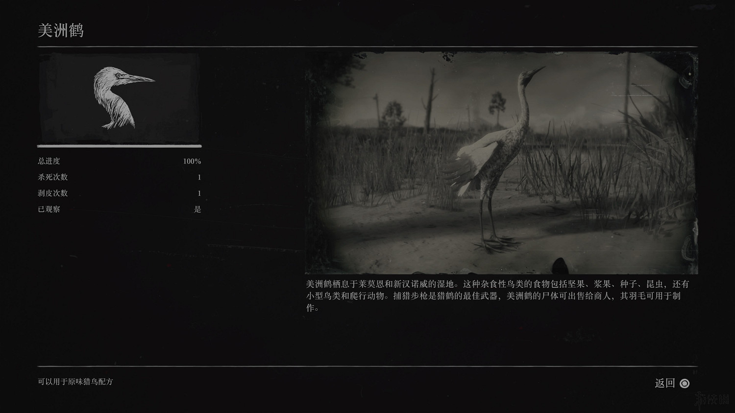 《荒野大鏢客2》全動物圖鑒訊息匯總 全動物獎杯要點分享