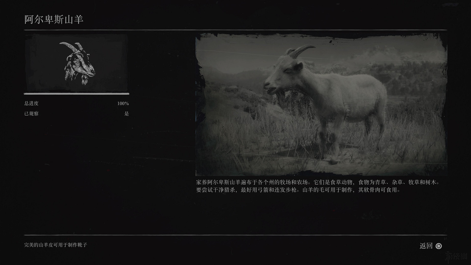 《荒野大鏢客2》全動物圖鑒訊息匯總 全動物獎杯要點分享