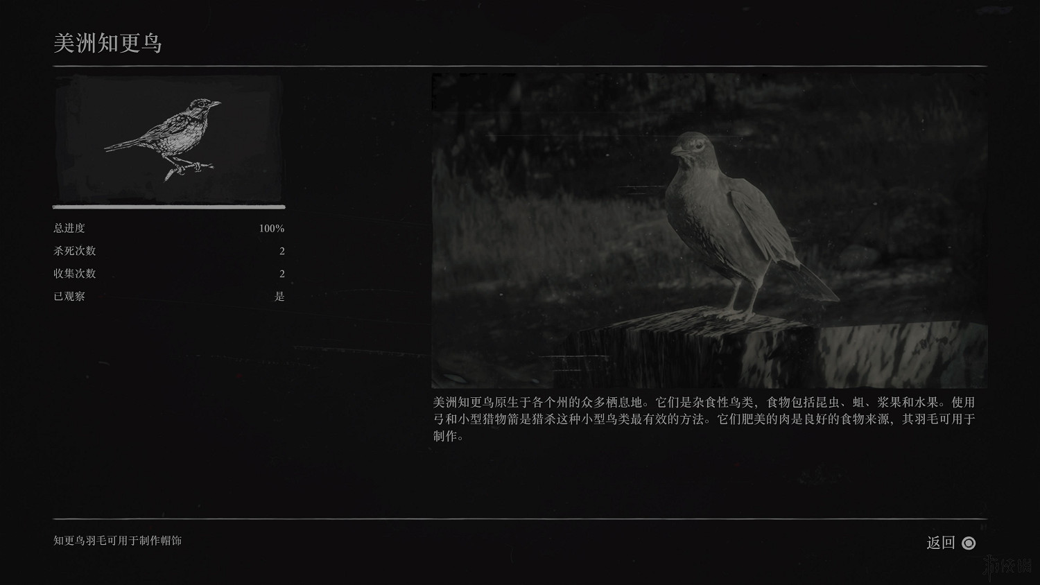 《荒野大鏢客2》全動物圖鑒訊息匯總 全動物獎杯要點分享