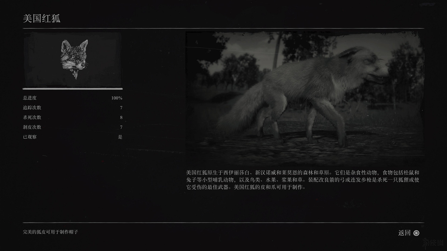 《荒野大鏢客2》全動物圖鑒訊息匯總 全動物獎杯要點分享